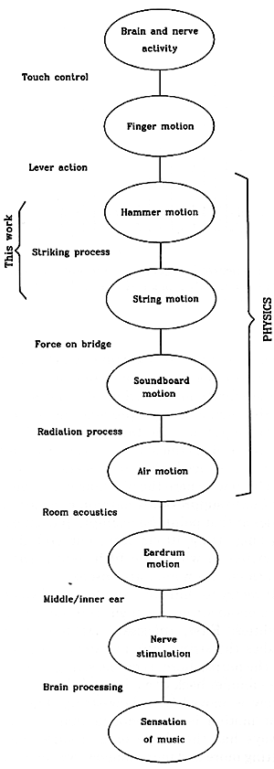 Fig. 1. Steps in the process of playing the piano.