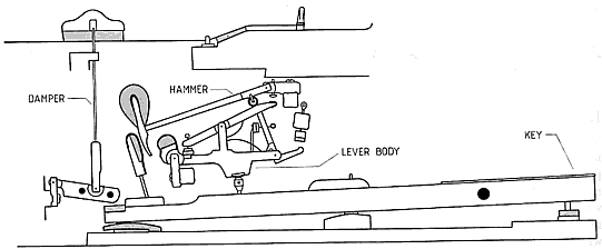 Fig. 1. View of the action of a modern grand piano (Steinway & Sons). The shaded areas indicate felt and the broad lines indicate leather.