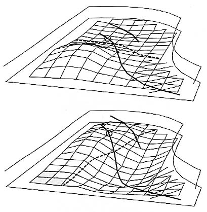 Fig. 17. Second mode at 90 Hz of a grand piano soundboard 