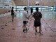107-0707 IMG