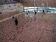 107-0717 IMG