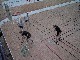 107-0718 IMG