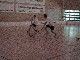 107-0733 IMG