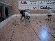 107-0739 IMG